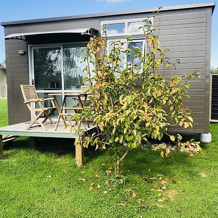 40 Winks Otorohanga Exterior foto
